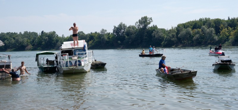 TRADICIONALNA  BRANITELJSKA REGATA SAVOM